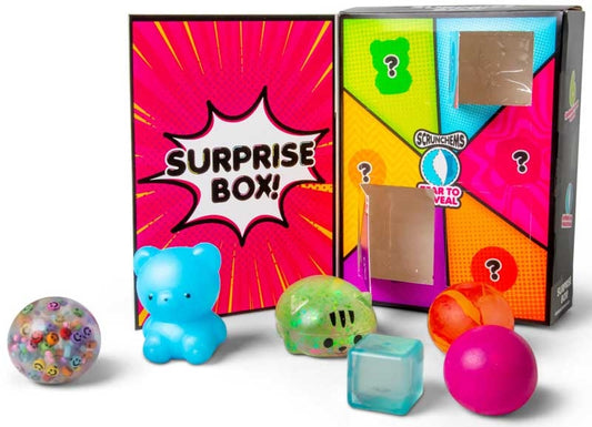 Scrunchems Fidget Surprise Box